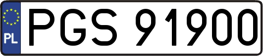 PGS91900