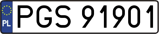 PGS91901