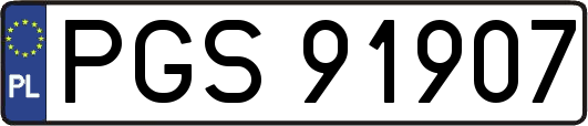 PGS91907