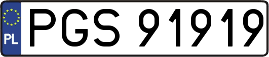 PGS91919