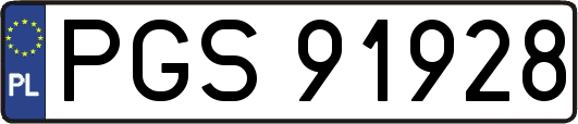 PGS91928
