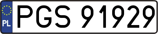 PGS91929
