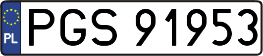 PGS91953