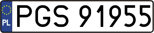PGS91955