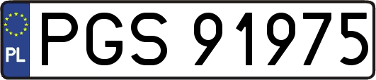 PGS91975