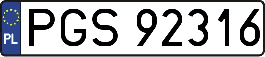PGS92316