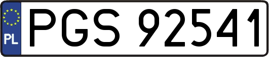 PGS92541