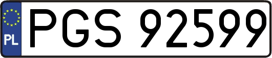PGS92599