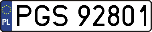 PGS92801