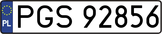 PGS92856