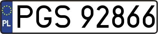 PGS92866