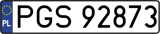 PGS92873