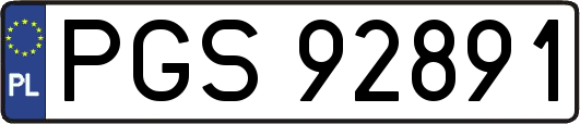 PGS92891