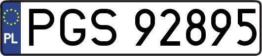 PGS92895