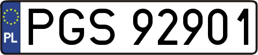 PGS92901