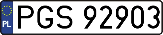 PGS92903