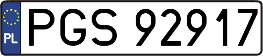 PGS92917