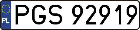 PGS92919
