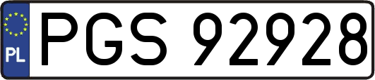 PGS92928