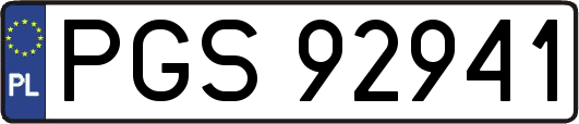 PGS92941
