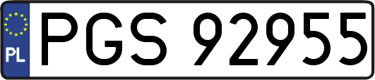 PGS92955