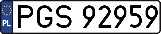 PGS92959
