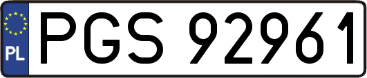 PGS92961