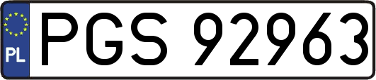 PGS92963