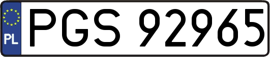 PGS92965