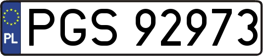 PGS92973