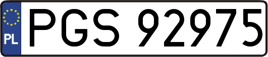 PGS92975