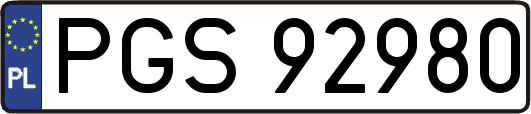 PGS92980