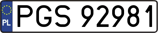 PGS92981