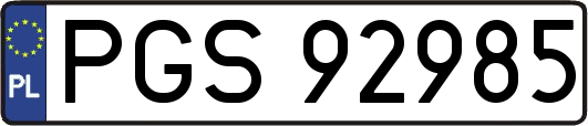 PGS92985