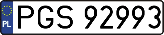 PGS92993