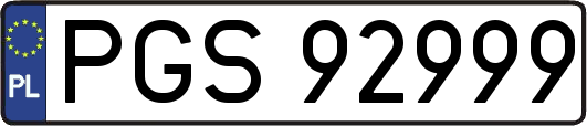 PGS92999