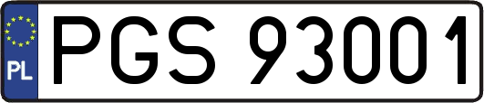 PGS93001