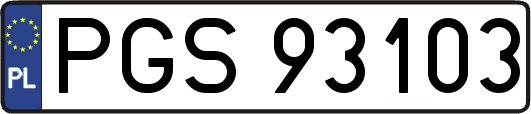 PGS93103