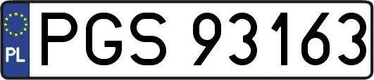 PGS93163