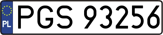 PGS93256
