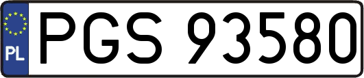 PGS93580