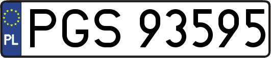 PGS93595