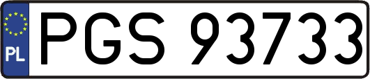 PGS93733