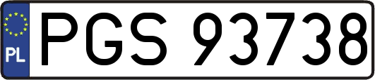 PGS93738