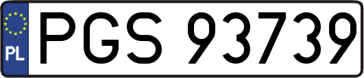 PGS93739