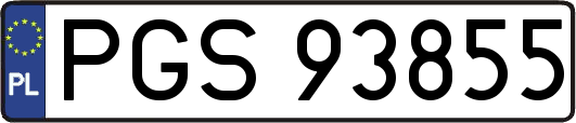 PGS93855