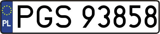PGS93858