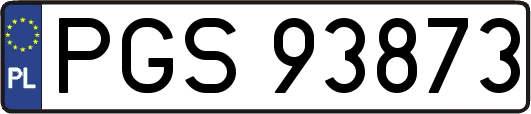 PGS93873