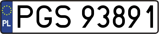 PGS93891