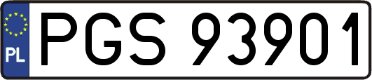PGS93901